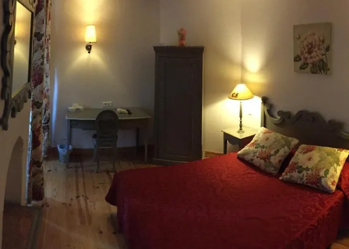 L'astrolabe Ξενοδοχείο Oloron-Sainte-Marie